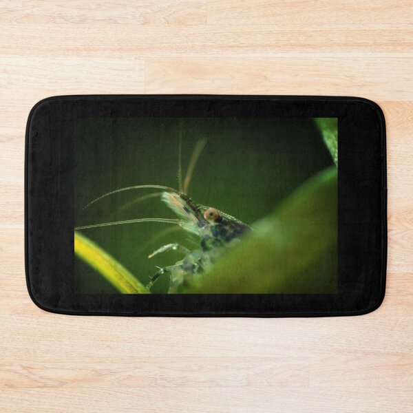 Item preview, Neocaridina Freshwater Shrimp, dwarf shrimp in the aquarium. Animal macro, close up photography with a focus gradient and soft background. Aquascaping  designed and sold by Marcin Adrian.