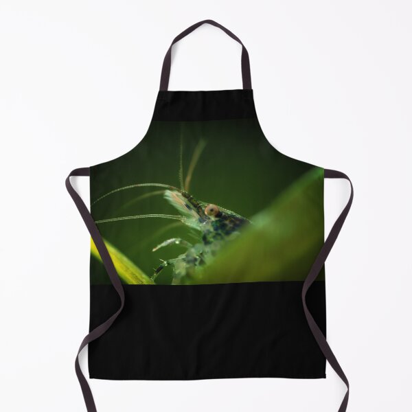 Item preview, Neocaridina Freshwater Shrimp, dwarf shrimp in the aquarium. Animal macro, close up photography with a focus gradient and soft background. Aquascaping designed and sold by Marcin Adrian.