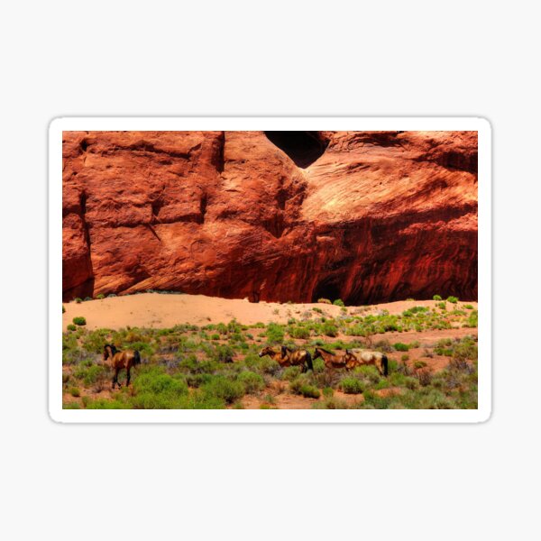 Wild mustangs In the Canyon Sticker