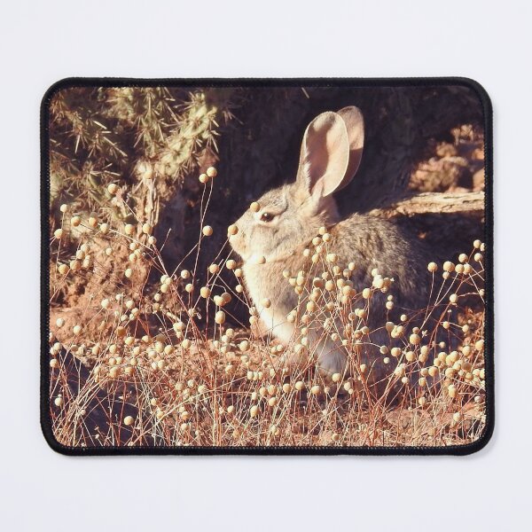 Item preview, Desert Cottontail, Rabbit, Cute and Cuddly designed and sold by Sandra O'Toole.