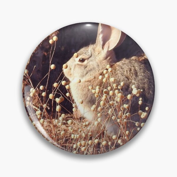 Item preview, Desert Cottontail, Rabbit, Cute and Cuddly designed and sold by Sandra O'Toole.