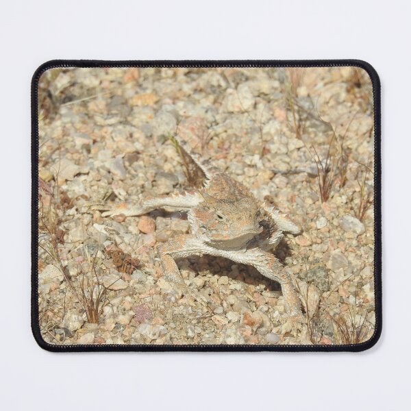 Item preview, Horned lizard, horny toad, Naturally Disguised designed and sold by Sandra O'Toole.