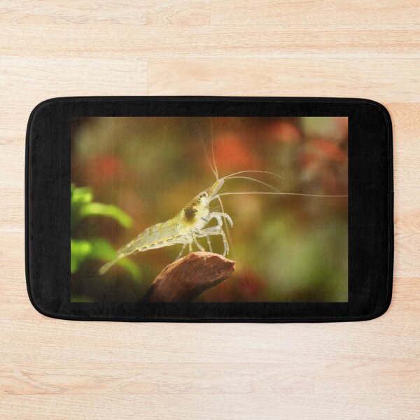 Item preview, Neocaridina Freshwater Shrimp, dwarf shrimp in the aquarium. Animal macro, close up photography with a focus gradient and soft background. Aquascaping  designed and sold by Marcin Adrian.