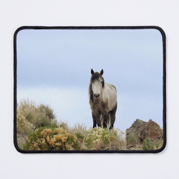 Item preview, Wild horses, mustangs, Wild Pearl designed and sold by Sandra O'Toole.
