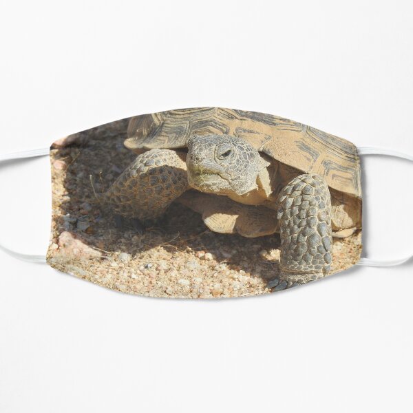 Desert tortoise, wildlife, reptiles, Desert Charmer Flat Mask