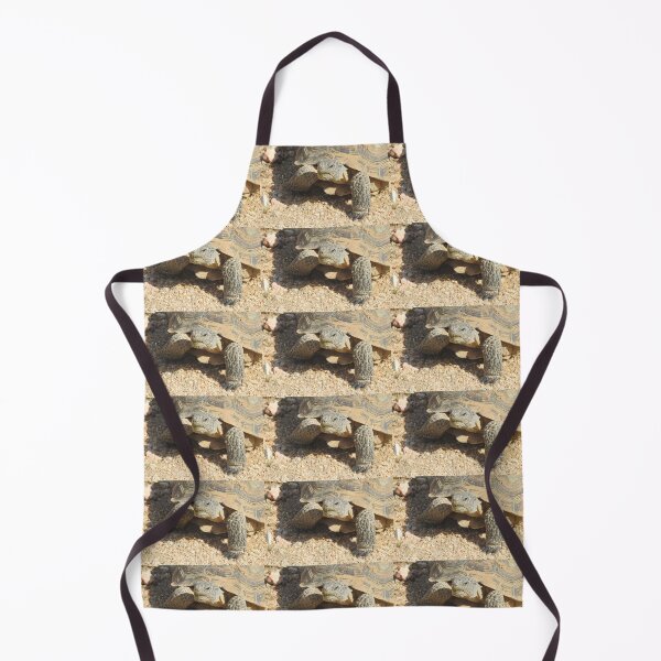 Item preview, Desert tortoise, wildlife, reptiles, Desert Charmer designed and sold by Sandra O'Toole.