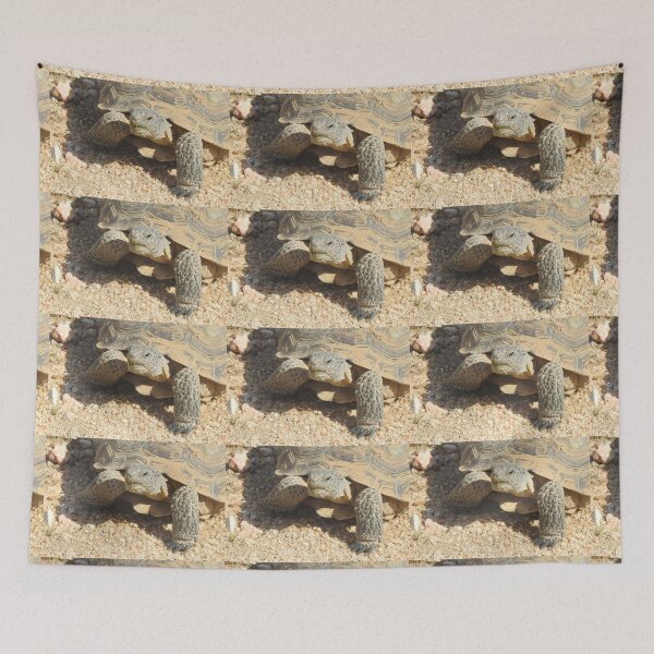 Item preview, Desert tortoise, wildlife, reptiles, Desert Charmer designed and sold by Sandra O'Toole.