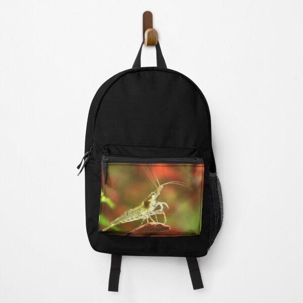 Item preview, Neocaridina Freshwater Shrimp, dwarf shrimp in the aquarium. Animal macro, close up photography with a focus gradient and soft background. Aquascaping designed and sold by Marcin Adrian.
