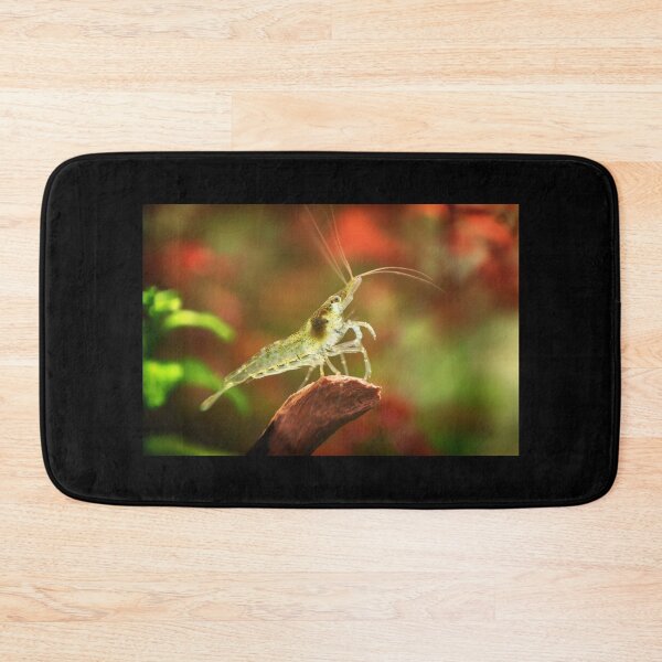 Item preview, Neocaridina Freshwater Shrimp, dwarf shrimp in the aquarium. Animal macro, close up photography with a focus gradient and soft background. Aquascaping  designed and sold by Marcin Adrian.
