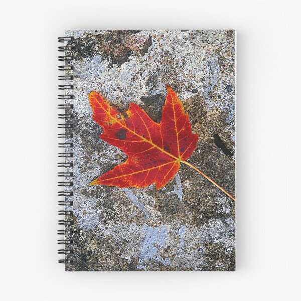 Item preview, Red Maple Leaf designed and sold by A Fabulous Production.