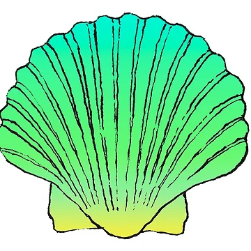 Artwork thumbnail, Shell by PINK BANANA
