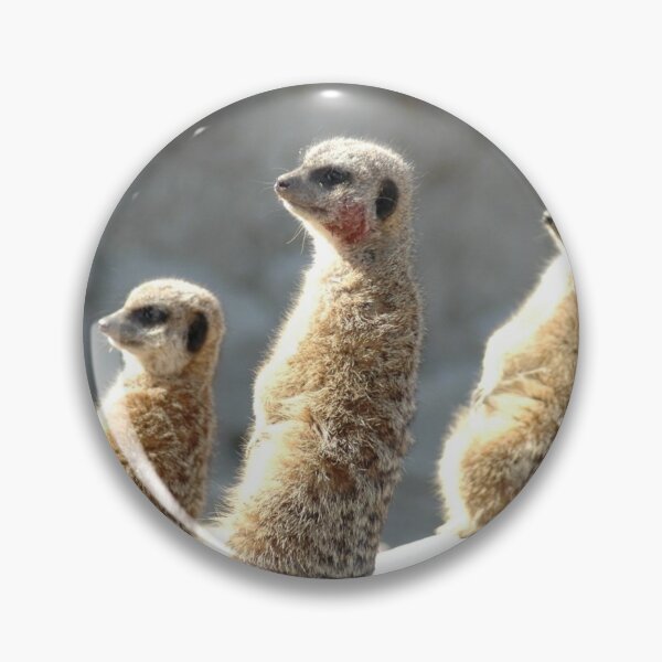 Item preview, Meercats glare  designed and sold by salvage203.