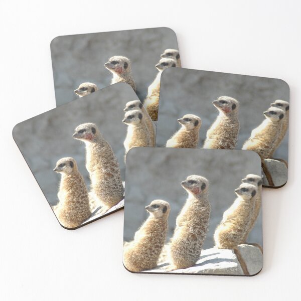 Item preview, Meercats glare  designed and sold by salvage203.