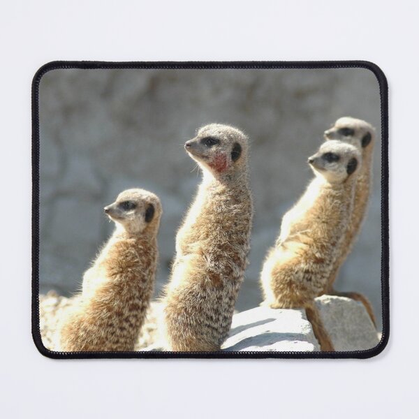 Item preview, Meercats glare  designed and sold by salvage203.
