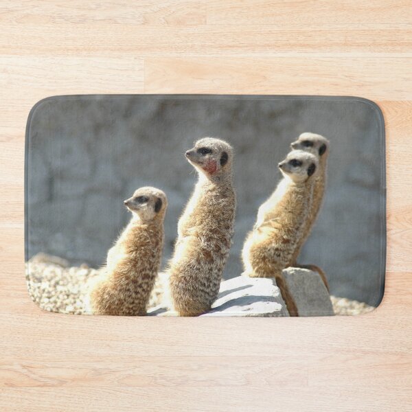Item preview, Meercats glare  designed and sold by salvage203.