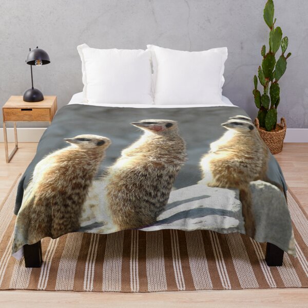 Item preview, Meercats glare  designed and sold by salvage203.