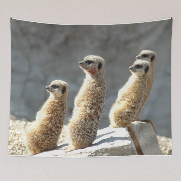 Item preview, Meercats glare  designed and sold by salvage203.