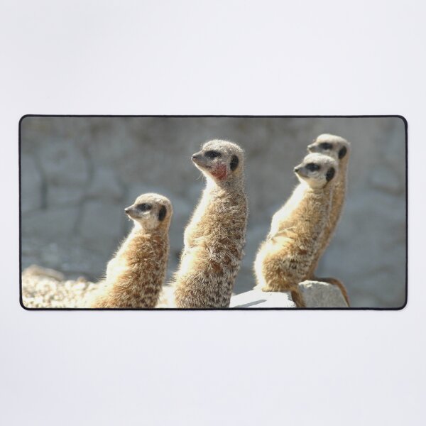 Item preview, Meercats glare  designed and sold by salvage203.