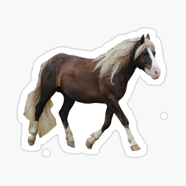Surfer's Riptide Sticker
