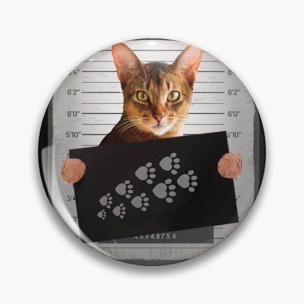Item preview, Personal stalker i will follow you wherever you go, Abyssinian cat designed and sold by seifouBVB.