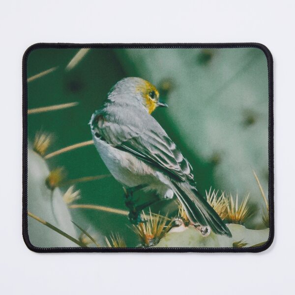 Item preview, Verdin on thorn designed and sold by Nadialoz.