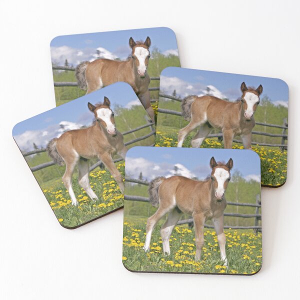 Item preview, Welsh Mountain Pony Colt designed and sold by ScienceSource.