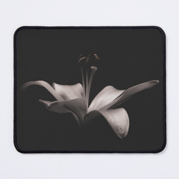 Item preview, Lily on black background designed and sold by Lisa Thomas.