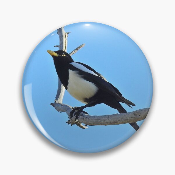 Item preview, Wild birds, magpie, wildlife, A California Gem designed and sold by Sandra O'Toole.