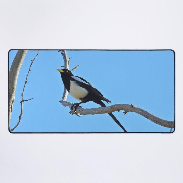 Item preview, Wild birds, magpie, wildlife, A California Gem designed and sold by Sandra O'Toole.