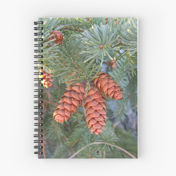 Item preview, Pine Cone Trio designed and sold by PeaceofNShore.