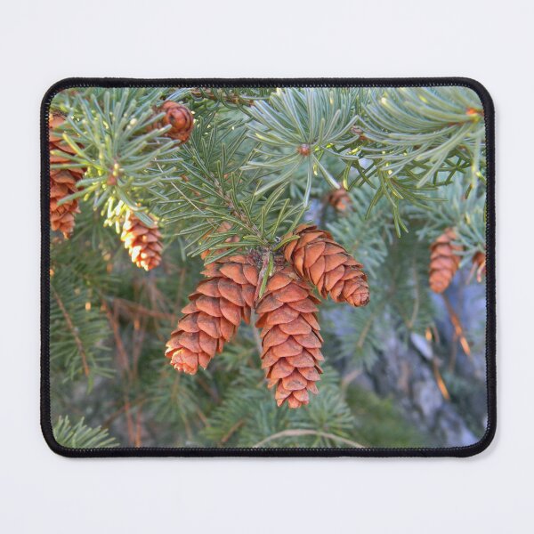 Item preview, Pine Cone Trio designed and sold by PeaceofNShore.