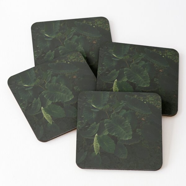 Item preview, Nature Leaves #15 designed and sold by anafrancisconi.