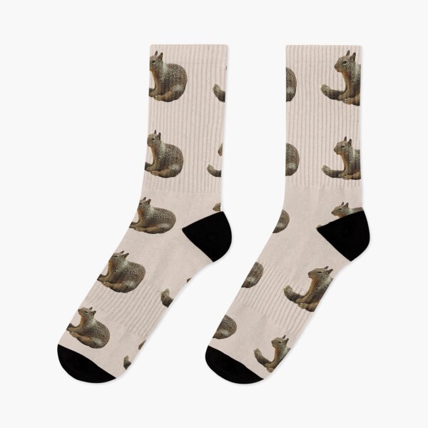 Item preview, Squirrel, wildlife, Squirrely Cuteness designed and sold by Sandra O'Toole.