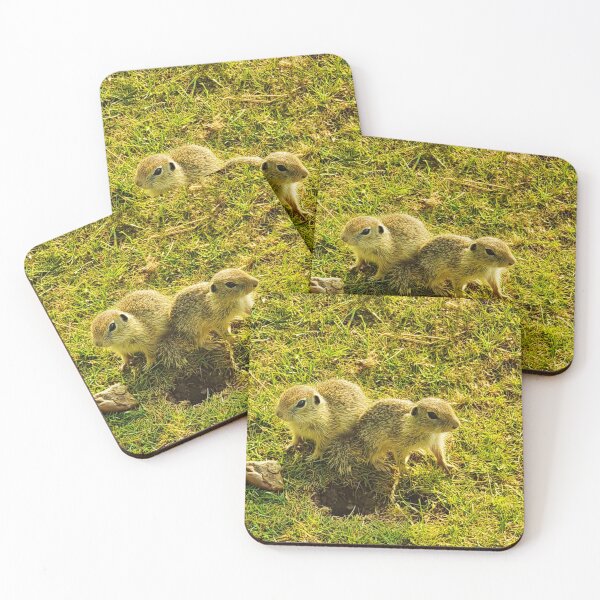 Item preview, The ground squirrels designed and sold by Kate-P-.