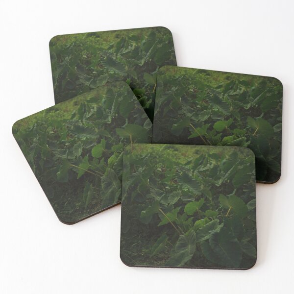 Item preview, Nature Leaves #20 designed and sold by anafrancisconi.