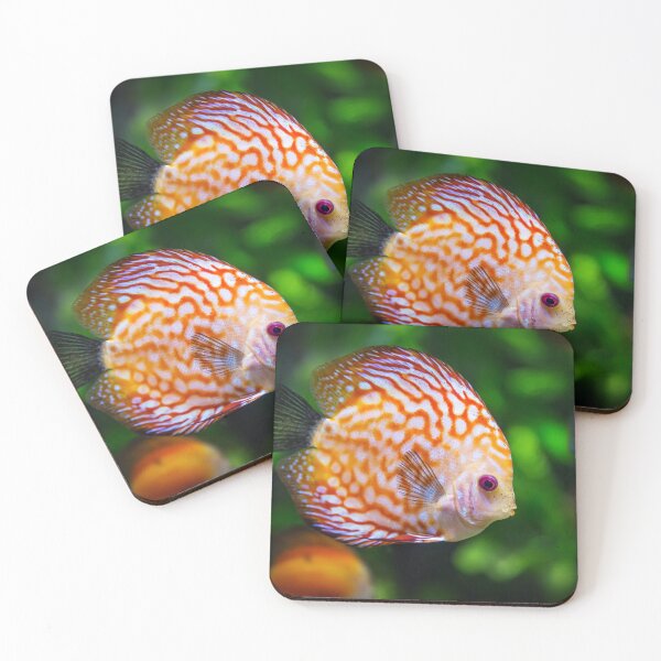 Item preview, Discus Aquarium Fish Fauna designed and sold by MonArtisteSam.