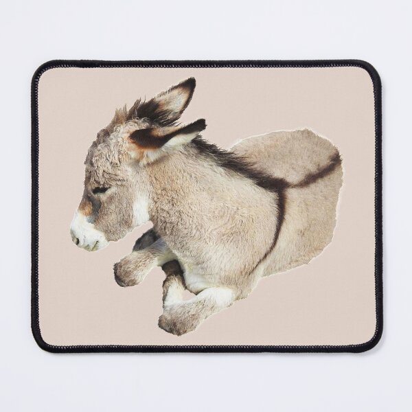 Item preview, Burro salvaje, asno, fauna silvestre, Cutie Pie designed and sold by Sandra O'Toole.