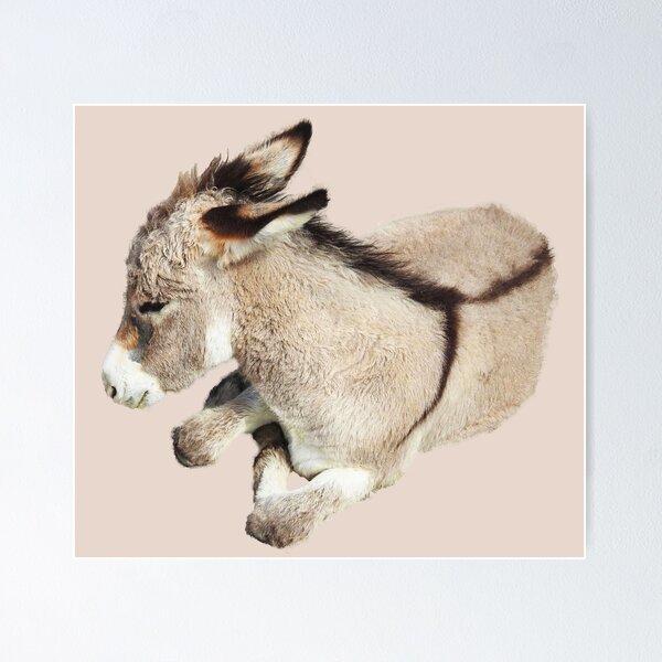 Item preview, Wild burro, donkey, wildlife, Cutie Pie designed and sold by Sandra O'Toole.