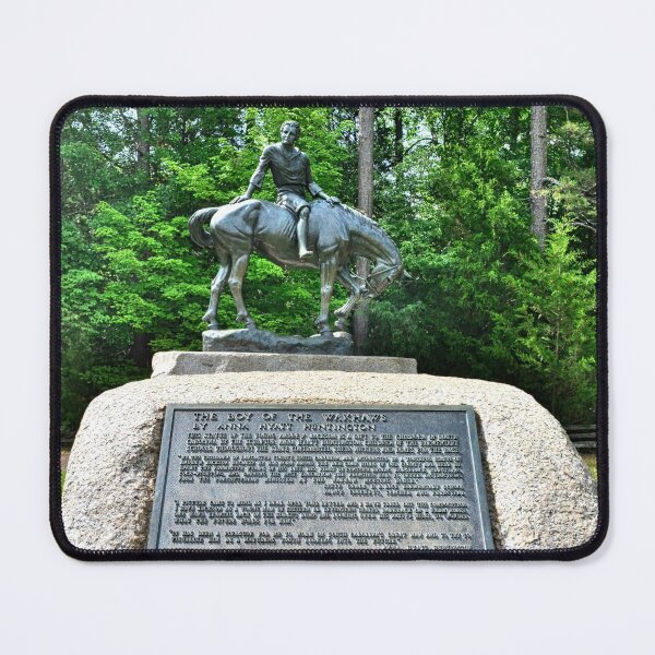 Item preview, The Boy Of The Waxhaws At Andrew Jackson State Park South Carolina Vertical designed and sold by LisaWootenPhoto.