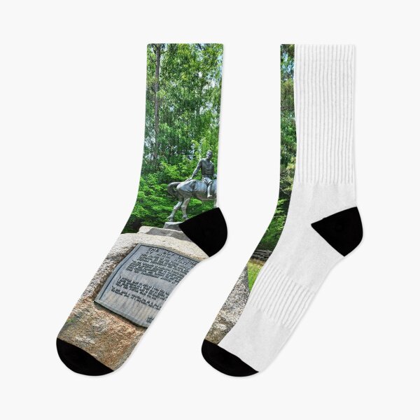 Item preview, The Boy Of The Waxhaws At Andrew Jackson State Park South Carolina Vertical designed and sold by LisaWootenPhoto.