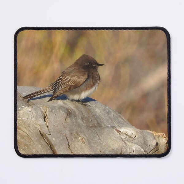 Item preview, Wild birds, black phoebe, wildlife, Tiny Charm designed and sold by Sandra O'Toole.