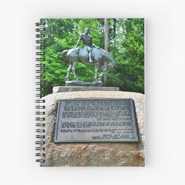 Item preview, The Boy Of The Waxhaws At Andrew Jackson State Park South Carolina designed and sold by LisaWootenPhoto.