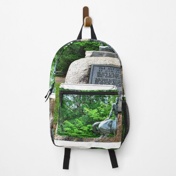 Item preview, The Boy Of The Waxhaws At Andrew Jackson State Park South Carolina designed and sold by LisaWootenPhoto.