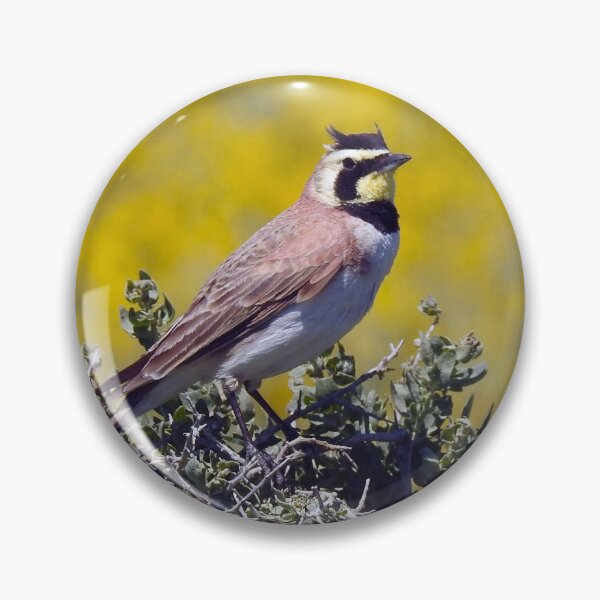 Item preview, Wild birds, horned lark, wildlife gifts, nature designed and sold by Sandra O'Toole.