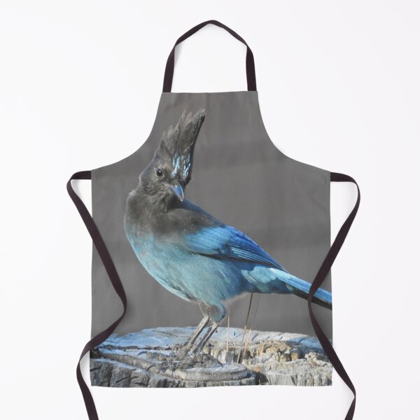 Artikelvorschau, Wildvögel, Stellar's Jay, Wildtiere, Blue Jay entworfen und verkauft von Sandra O'Toole.