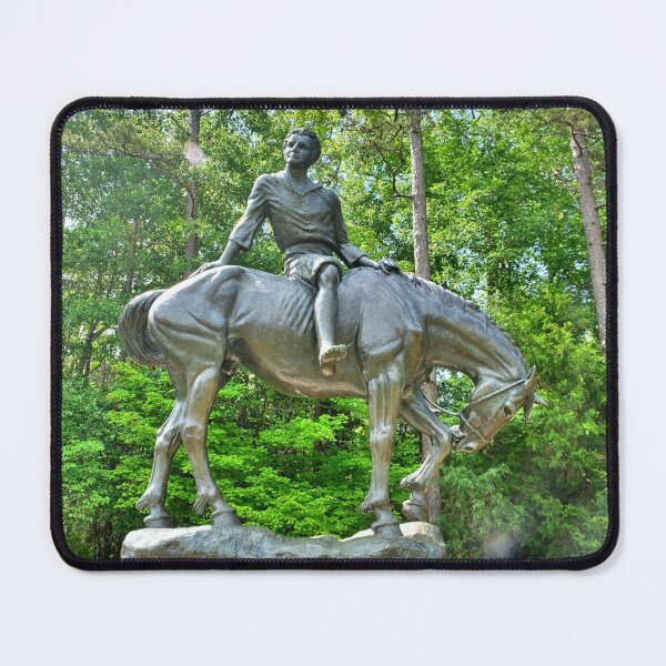 Item preview, The Boy Of The Waxhaws Statue At Andrew Jackson State Park South Carolina designed and sold by LisaWootenPhoto.