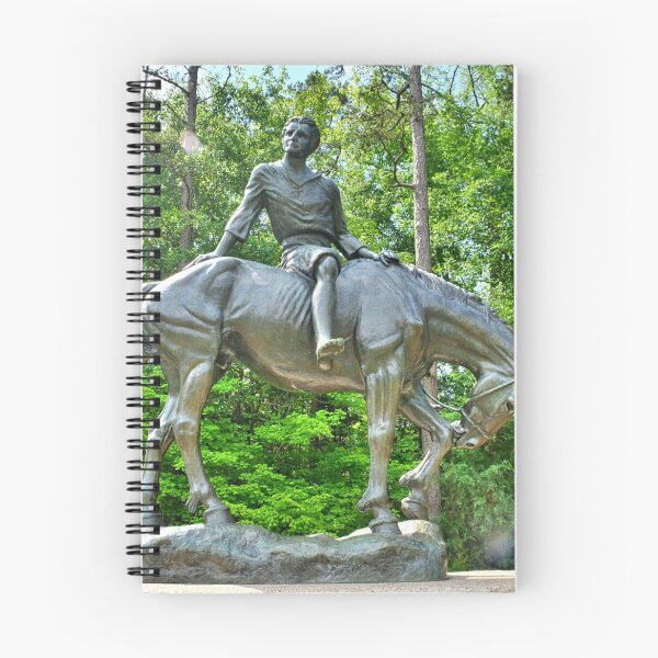 Item preview, The Boy Of The Waxhaws Statue At Andrew Jackson State Park South Carolina designed and sold by LisaWootenPhoto.