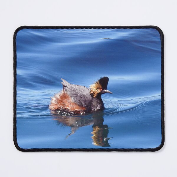 Item preview, Wild birds, wildlife, nature, Spectacular Grebe, grebes designed and sold by Sandra O'Toole.