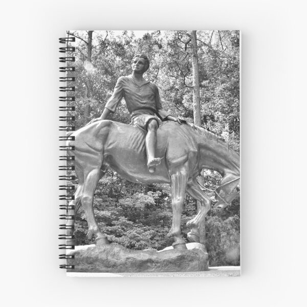 Item preview, The Boy Of The Waxhaws Statue At Andrew Jackson State Park South Carolina Black And White designed and sold by LisaWootenPhoto.