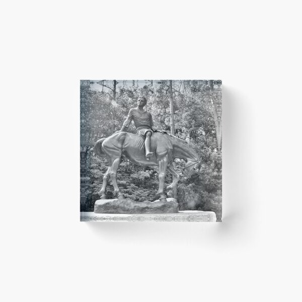 Item preview, The Boy Of The Waxhaws Statue At Andrew Jackson State Park South Carolina Black And White designed and sold by LisaWootenPhoto.